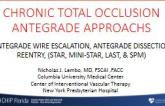 Chronic Total Occlusion Antegrade Approachs