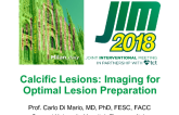 Calcific Lesions: Imaging for Optimal Lesion Preparation