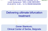 Delivering ultimate bifurcation treatment 