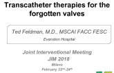 Transcatheter therapies for the forgotten valves
