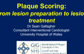 Plaque Scoring: From lesion preparation to lesion treatment
