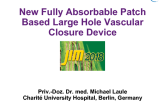 New Fully Absorbable Patch Based Large Hole Vascular Closure Device