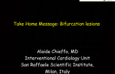 Take Home Message: Bifurcation lesions 