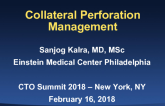 Collateral Perforation and Management