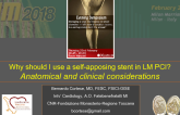 Why should I use a self-apposing stent in LM PCI? Anatomical and clinical considerations