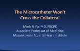 The Microcatheter Won't Cross the Collateral