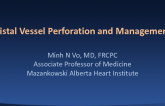 Distal Vessel Perforation and Management