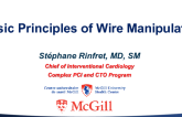 Basic Principles of Wire Manipulation