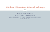 LM Distal Bifurcation - DK Crush Tecnique