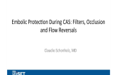 Embolic Protection During CAS: Filters, Occlusion and Flow Reversals 
