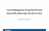 Current Management of Superficial Femoral Artery (SFA) and the Data That Got Us There