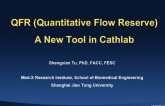 QFR (Quantitative Flow Reserve)A New Tool in Cathlab