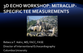 3D Echo Workshop: MitraClip - Specific TEE Measurements