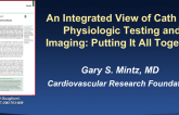An Integrated View of Cath Lab Physiologic Testing and Imaging: Putting It All Together
