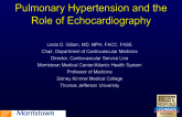 Pulmonary Hypertension and the Role of Echocardiography