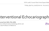 Interventional Echocariography