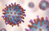 Respiratory Syncytial Virus Linked With Cardiovascular Complications