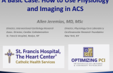 A Basic Case: How to Use Physiology and Imaging in ACS