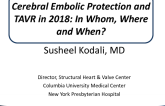Update on Mitral Valve Disease and Transcatheter Therapies for Non-Aortic Valves