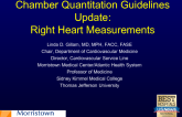 Chamber Quantitation Guidelines Update:Right Heart Measurements