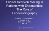 Clinical Decision Making in Patients with Endocarditis: The Role of Echocardiography