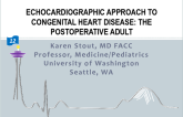 Echocardiographic Approach To Congenital Heart Disease: The Postoperative Adult