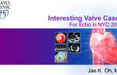 Interesting Valve Cases: For Echo in NYC 2018