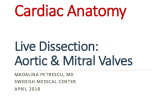 Live Dissection: Aortic & Mitral Valves