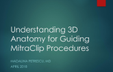 Understanding 3D Anatomy for Guiding MitraClip Procedures