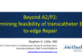 Beyond A2/P2: Determining Feasibility of Transcatheter Edge-to-edge Repair
