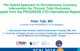 The Hybrid Approach to Percutaneous Coronary Intervention for Chronic Total Occlusion: Update from the PROGRESS CTO International Registry