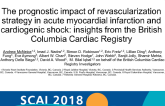 The Prognostic Impact of Revascularization Strategy in Acute Myocardial Infarction and Cardiogenic Shock