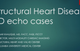 Structural Heart Disease-3D echo cases