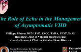 The Role of Echo in the Management of Asymptomatic VHD