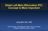 Distal Left Main Bifurcation PCI:Concept is More Important