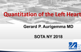 Quantitation of the Left Heart