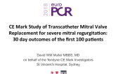 CE Mark Study of Transcatheter Mitral Valve Replacement for Severe Mitral Regurgitation: 30 day outcomes of the first 100 patients