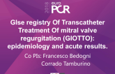 GISE Registry of Transcatheter Treatment of Mitral Valve Regurgitation (GIOTTO): Epidemiology and Acute Results