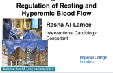Understanding Mechanisms of Regulation of Resting and Hyperaemic Blood Flow