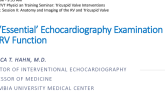 The ‘Essential' Echocardiography Examination of TR and RV Function