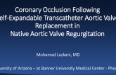 Coronary Occlusion Following Self-Expandable Transcatheter Aortic Valve Replacement in Native Aortic Valve Regurgitation
