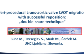 Periprocedural Transaortic Valve LVOT Migration With Successful Reposition: "The Double-Snare Technique“