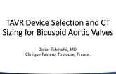 TAVR Device Selection and CT Sizing for Bicuspid Aortic Valves