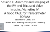 Imaging Vignettes IV: A Good CASE for Transcatheter FORMA
