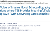 The ‘Voice' of Interventional Echocardiography: Situations where TEE Provides Meaningful Value During TAVR (With Convincing Case Examples)