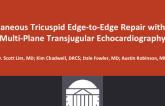 Percutaneous Tricuspid Edge-to-Edge Repair With Novel Multi-Plane Transjugular Echocardiography