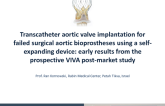 Updates from the EVOLUT R Aortic Valve-in-Valve Registry (VIVA)