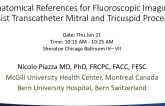 Anatomical References for Fluoroscopic Imaging to Assist Transcatheter Mitral and Tricuspid Procedures