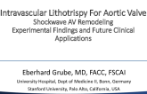 Shockwave Aortic Valve Remodeling: Experimental Findings and Future Clinical Applications