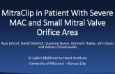 Transcatheter Mitral Valve Repair in a Patient With a Heavily Calcified Mitral Annulus and Small Mitral Valve Orifice Area